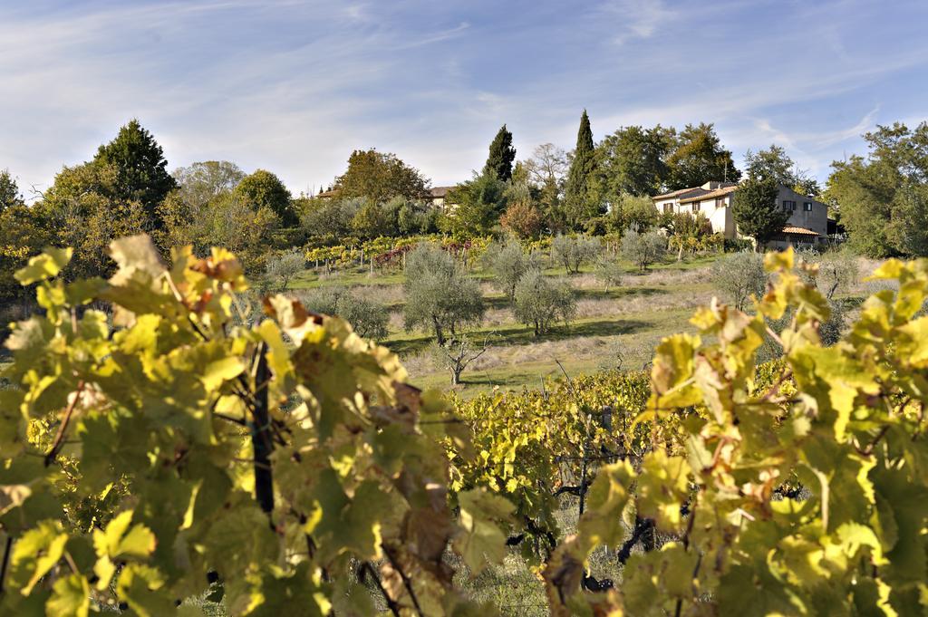 Il Casolare Di Libbiano Guest House San Gimignano Bagian luar foto
